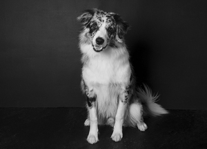 Fundraising Page: Tucker Dale Volk